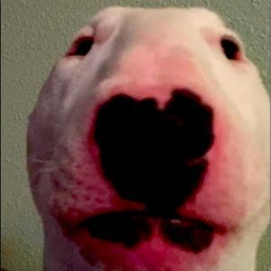 Ok ok I am going home now I will be there at seven